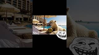 Polar Bears & Penguins on Vacation in Dubai | Ultra Realistic Documentary-Style Scene
