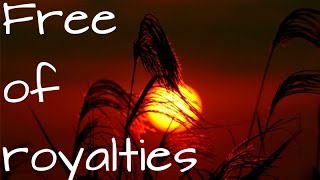 Harmonic Voyage Soundtrack Instrumental Film Music