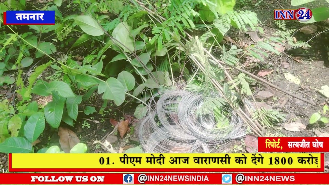 तमनार__पूंजीपथरा वन्यप्राणी का शिकार के लिए बिछाए गए करंट तार की चपेट में आने से 3 लोगों की मौत |