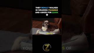 $200K for a Dog Bed… But It’s for Humans?! 😭🛏️