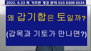왜 갑기합은 토일까? (갑목과 기토가 만나면?)