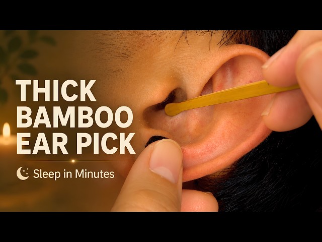 Thick Bamboo Ear Pick ASMR 😴 Sleep in Minutes | No Talking