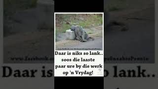 Good morning /Goeie more Good morning /Goeie more