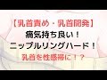 【乳首責めグッズ】乳首にハメるだけで気持ち良い!ニップルリングハードのレビュー!痛気持ち良く、乳首を開発しよう!【乳首オナニー/チクニー】