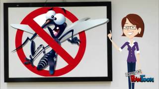 Doenças transmitidas por vetores