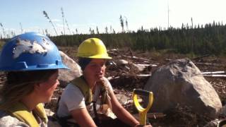 Treeplanting 2016