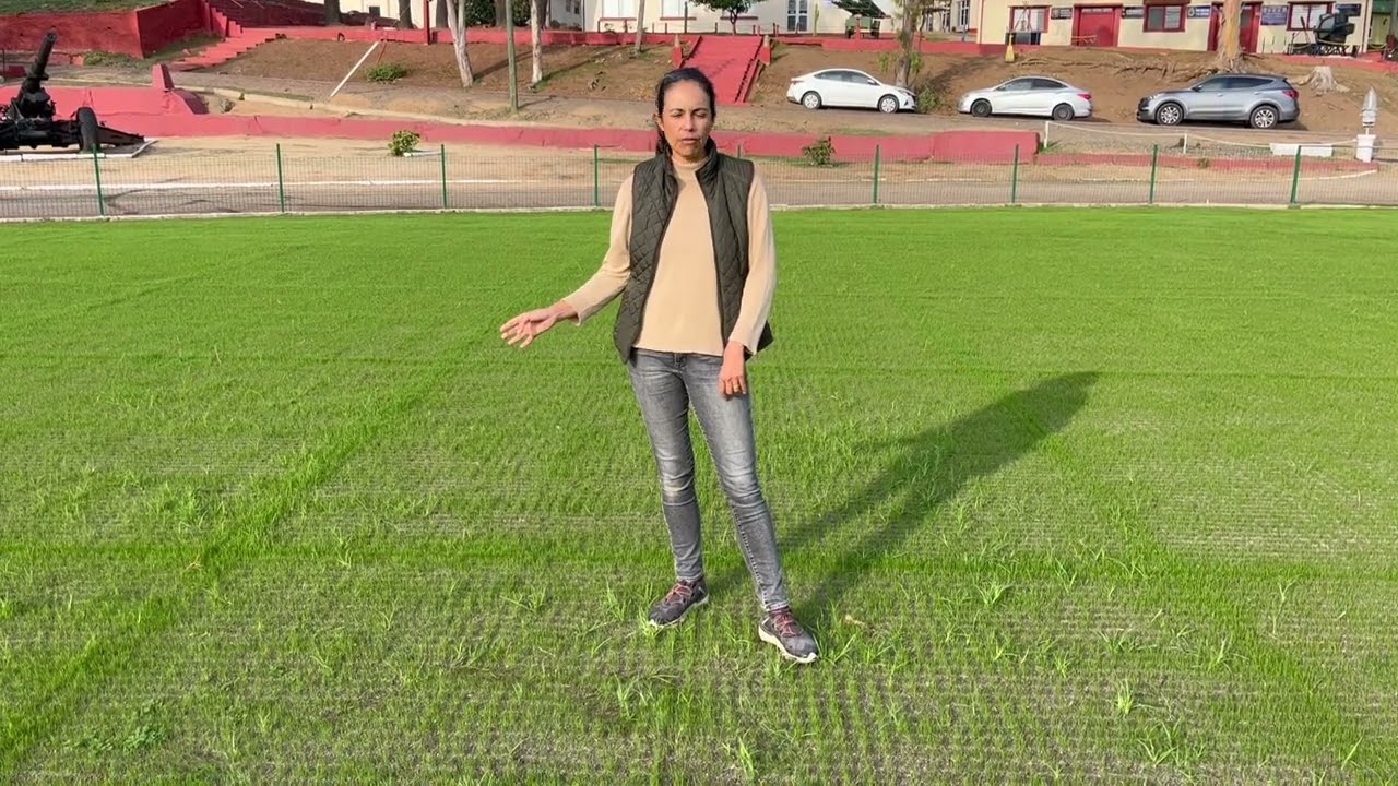 Sports field renovation in Vina del Mar, Chile