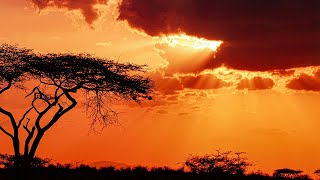 Beautiful Africa - 10 minutes of Relaxation Ep.2