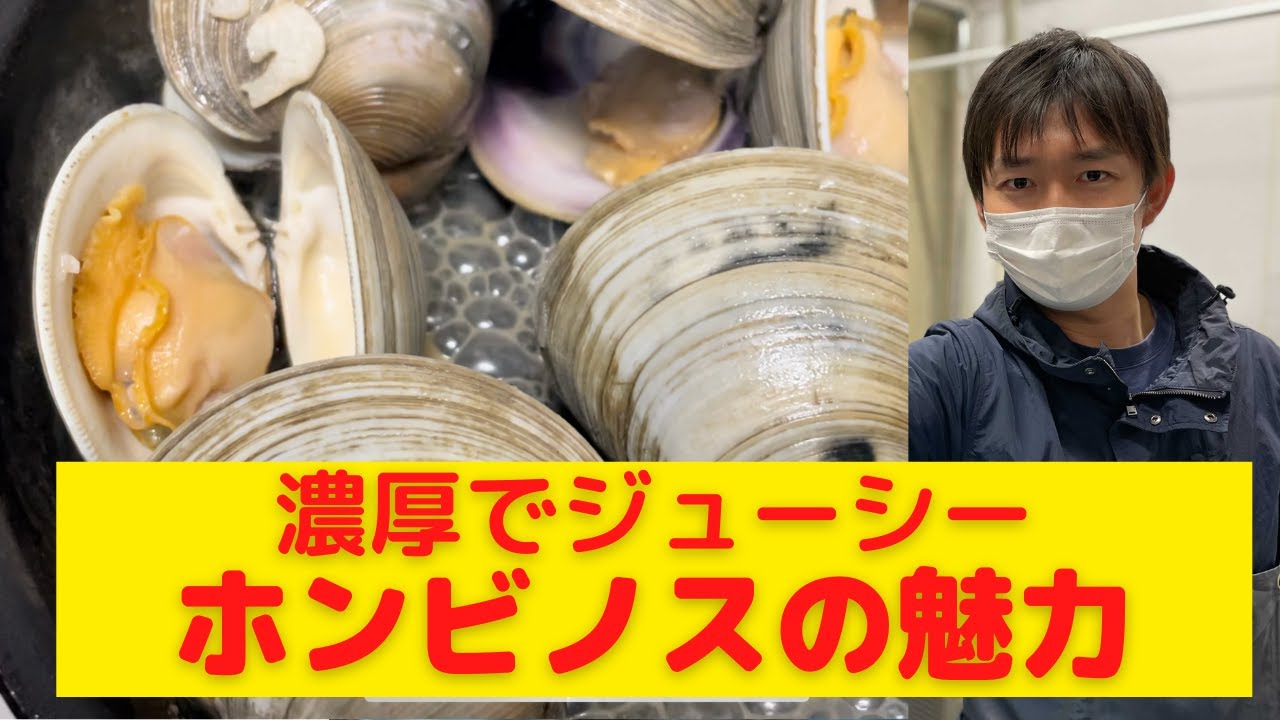 ホンビノス貝（本美之主）の魅力をお伝えします！ - YouTube