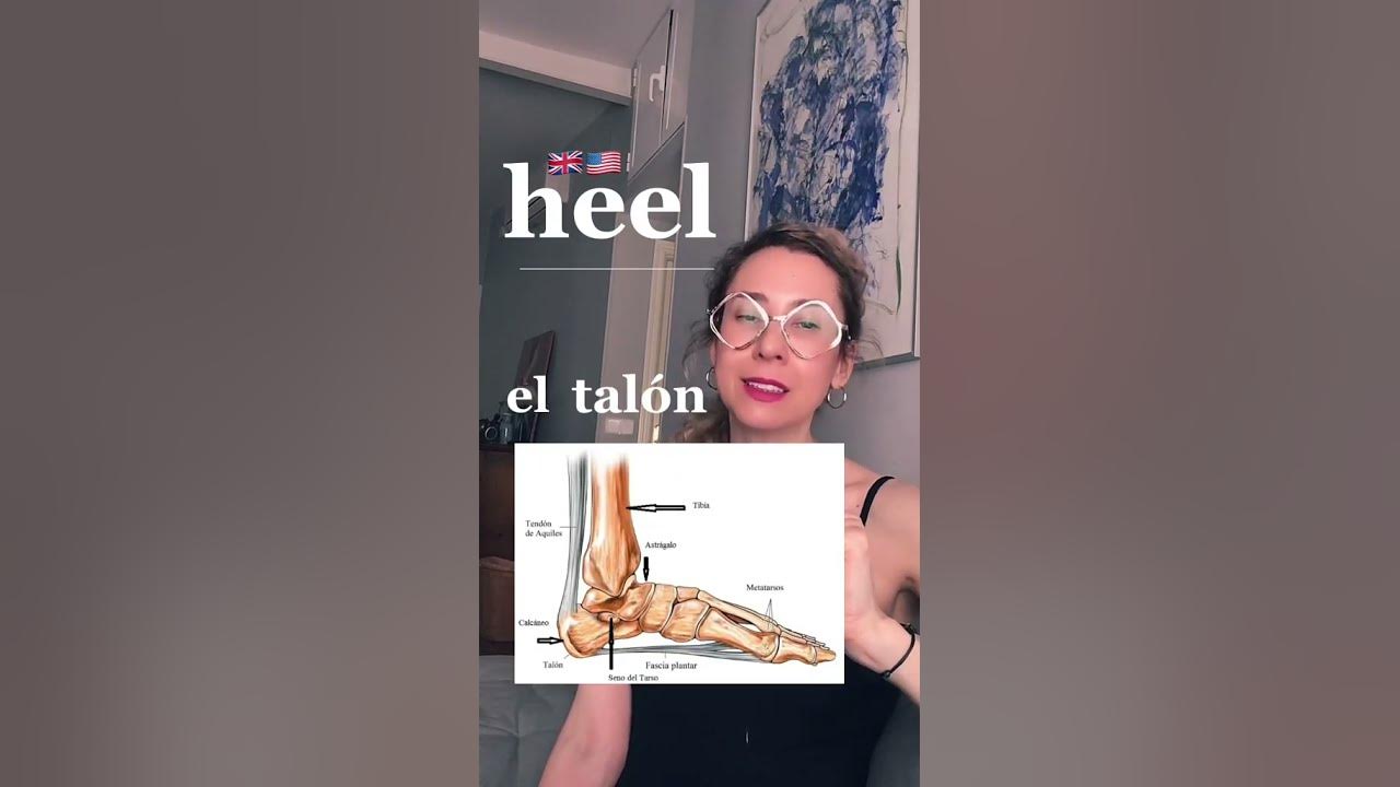 How To Say HEEL In Spanish spanishfordoctors medicalspanish anatomy how-to-say-heel-in-spanish-spanishfordoctors-medicalspanish-anatomy