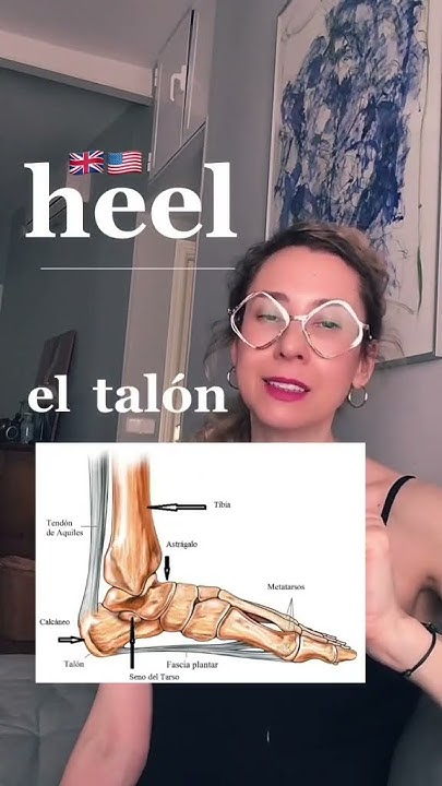 How To Say HEEL In Spanish spanishfordoctors medicalspanish anatomy how-to-say-heel-in-spanish-spanishfordoctors-medicalspanish-anatomy