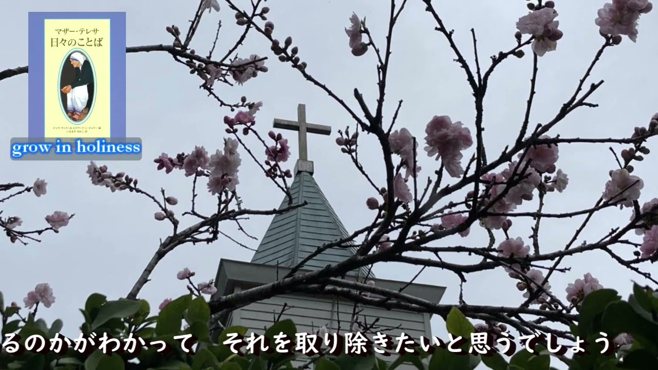 マザーテレサのことばによって40 - YouTube