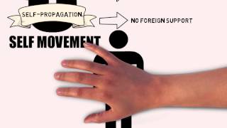 WB Indigenization of Christianity