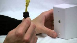 RJ45 Patch Cord Locks