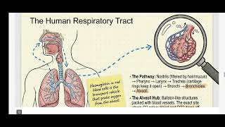 Class 10 Science Chapter 5 Life Processes Notes