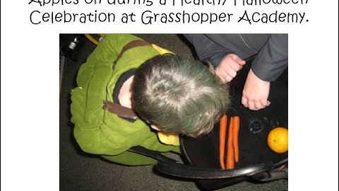 Grasshopper Academy