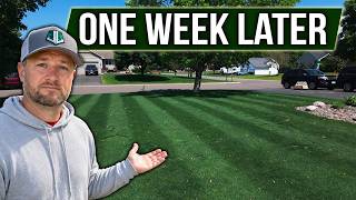 I Put This Down Last Week… Here’s What Happened