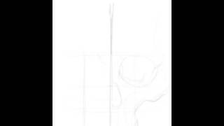 IPAD PRO SKULL ...draw 1st time using Procreate app for iOS screenshot 5