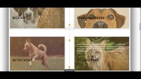 Pet Blog Website/Pet affiliate Website on wordpress