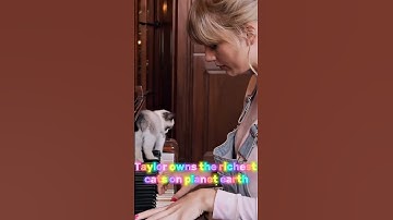 "How Many Cat Breeds Can Taylor Swift Name? 🐱🎤