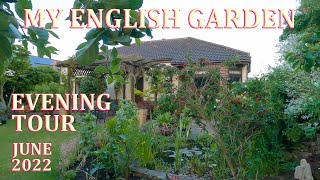 An Evening tour with Me  My English Garden  June 2022