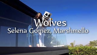 Selena Gomez, Marshmello - Wolves (Перевод на русский)