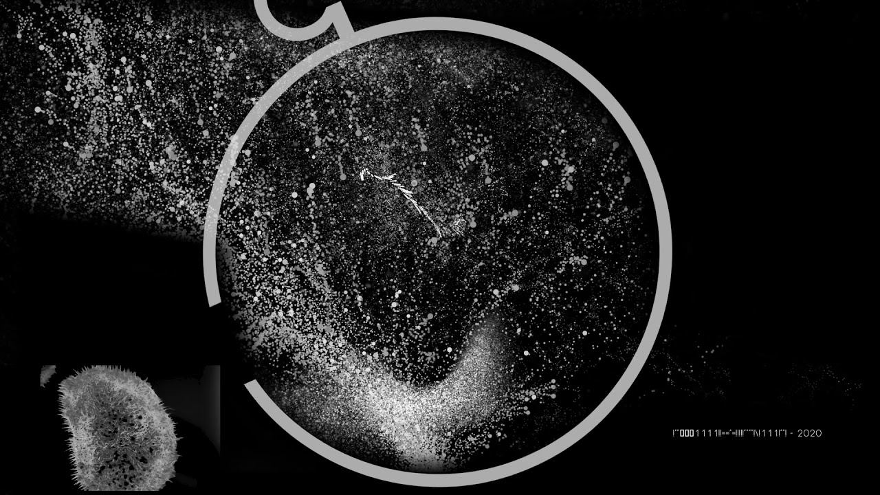 GENOMA 03 by Claudio Sichel