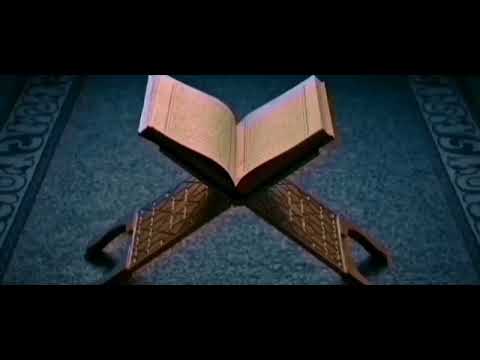 تنزل على كل أفاك أثيم 222 يلقون السمع وأكثرهم كاذبون 223 والشعراء يتبعهم الغاوون 224 الشعراء