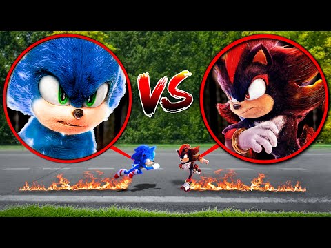 SONIC FIGHTS SHADOW THE HEDGEHOG IN REAL LIFE!!
