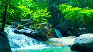 Soft piano music by the cool green stream, music to calm your mind and relieve stress screenshot 2
