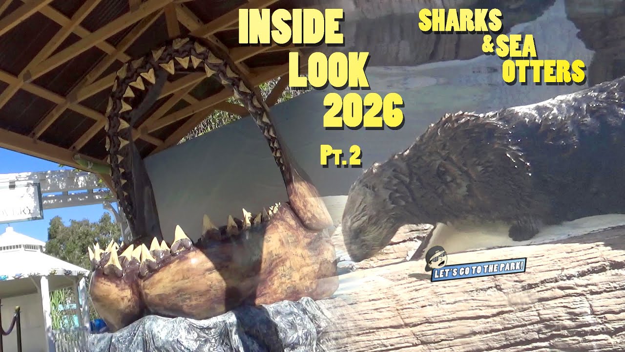 Inside Look 2026 Pt 2 - Sharks & Sea Otters