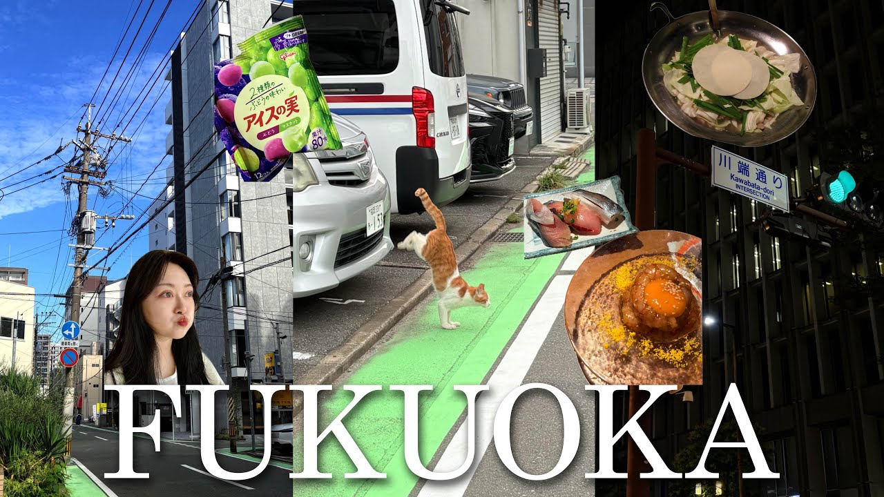 🇯🇵 첫 후쿠오카 혼자 여행! -1 날 것으로 가득 채운 배 | 모츠나베 모츠야, 나가하마 선어시장 다이슈 카포 마사미, 스시 사카바 사시스, 신선산도, 일본 편의점 음식