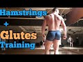 Grow your glutes|2 great exercises for a BIG BUTT and  hamstrings