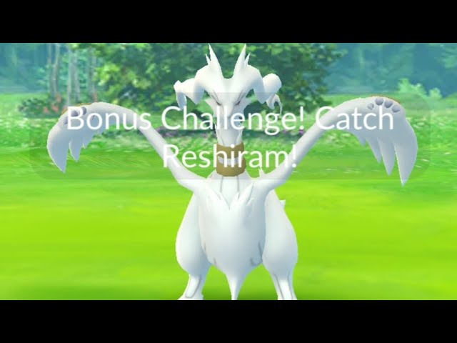 pokemongo] shiny zekrom and reshiram both on first try??? guess the  universe is making up for my never ending shiny piplup hunt in bd : r/ ShinyPokemon
