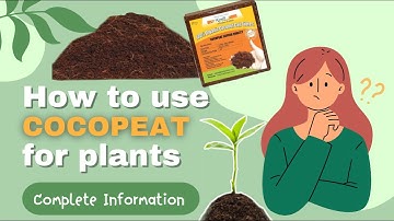How to use COCOPEAT block? | Cocopeat for plants | Complete Information