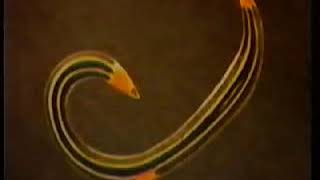 Тип Плоские черви (Plathelminthes) Класс Сосальщики — Trematoda