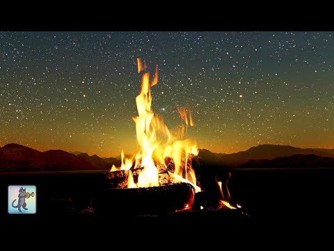 Cozy Campfire 🔥 Relaxing Fireplace Sounds 🔥 Burning Fireplace & Crackling Fire Sounds (NO MUSIC)