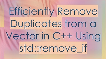Efficiently Remove Duplicates from a Vector in C+ +  Using std::remove_if