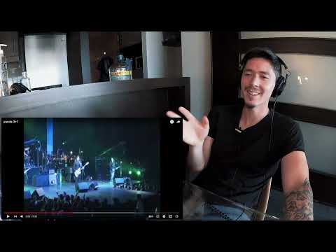 Panda 3+1 (PXNDX) Reaccion Gringo