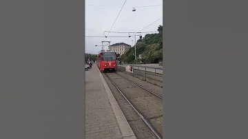 Šalina Linka 8 Do Zastávky Nové Sady 