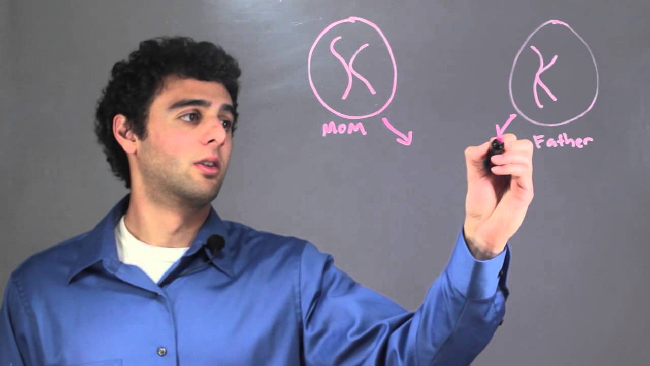 How Do Organisms Inherit Gene Pairs? : Biology & DNA