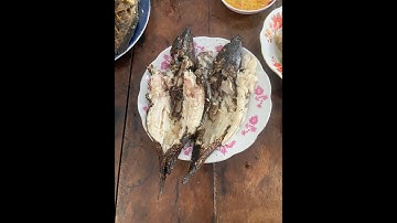 Cá Lóc Nướng Trui Rơm Đặc Sản Miền Tây Ngon Trứ Danh / Người Miền Tây Ở Miền Trung