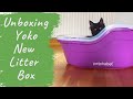 Unboxing the Petphabet litter box (Yoko the Maine Coon Kitten )
