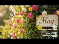 🌹 Midnight Blessing - Hip-hop & R&B Elements | Birthday Song for May