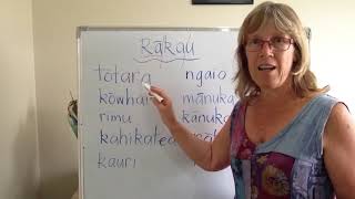 New Zealand native trees - pronunciation - Sharon Holt