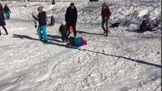 Sledding January 2016