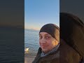 Лебеди Болгария