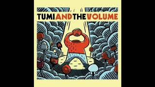 Tumi and the Volume - Moving Picture Frames