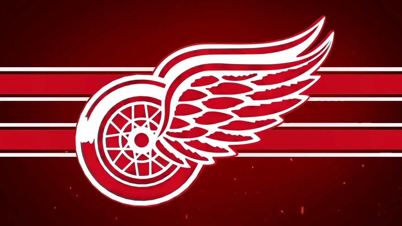 Detroit Red Wings - Go Team – For Bare Feet