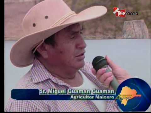 Ecuador Agropecuario 22-12-2016